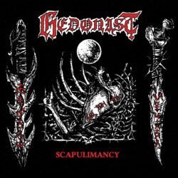 LORD314 HEDONIST - Scapulimancy LP cover